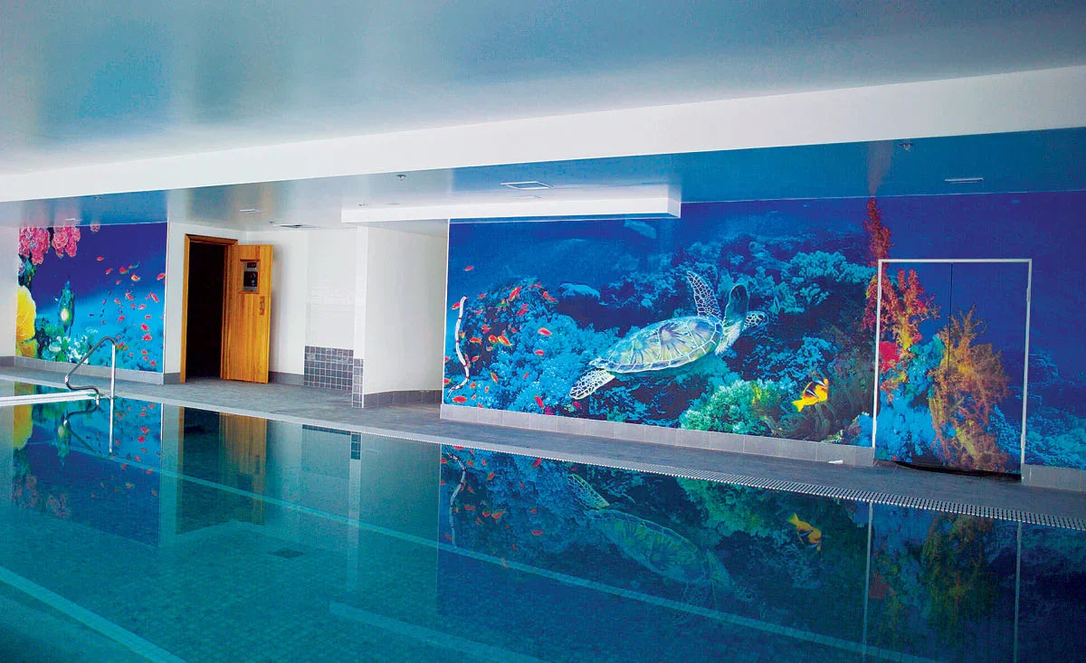 Indoor pool with vibrant underwater wall decal featuring sea turtle, fish, and coral reef.